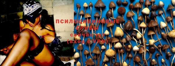 бутик Снежногорск