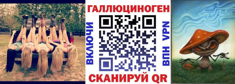 купить закладку  Струнино  Псилоцибиновые грибы Psilocybine cubensis 